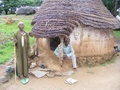 dscf1212.jpg