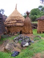 dscf1215.jpg