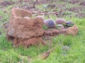 dscf1217.jpg