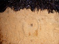 dscf1234.jpg
