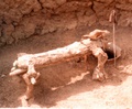 male_duwa_shrine.jpg