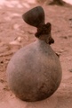 palmwine_gourd.jpg
