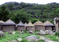 dsc00542.jpg