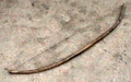 dsc00543.jpg