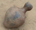 dsc00552.jpg