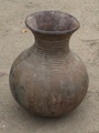 dsc00554.jpg