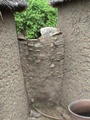 dsc00555.jpg