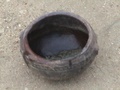dsc00562.jpg