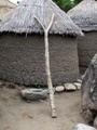 dsc00565.jpg