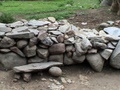 dsc00569.jpg