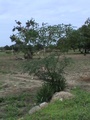 dsc00571.jpg