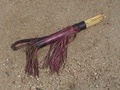 dsc00576.jpg
