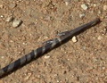 dsc00577.jpg