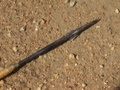 dsc00578.jpg
