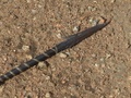 dsc00580.jpg
