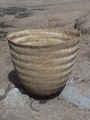 dsc00583.jpg