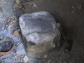 dsc00603.jpg