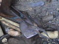 dsc00605.jpg