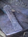 dsc00610.jpg