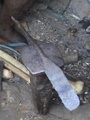 dsc00611.jpg