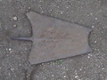 dsc00613.jpg