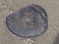 dsc00617.jpg