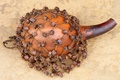 dscf0534.jpg