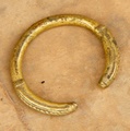 dscf0537.jpg