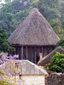 dscf2148.jpg