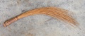 dscf0846.jpg