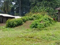 dscf0852.jpg