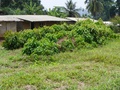 dscf0853.jpg