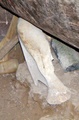 dscf0861.jpg