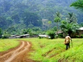dscf0867.jpg