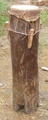 dscf0947.jpg